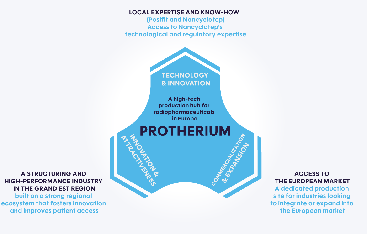 schema_protherium